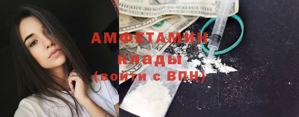 хмурый Белокуриха