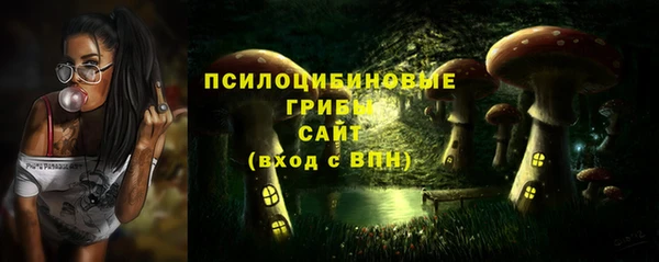 трава Беломорск