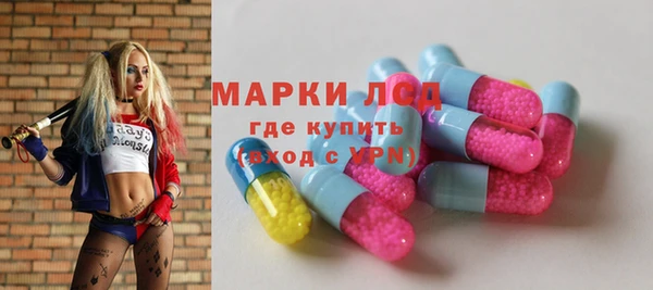 хмурый Белокуриха