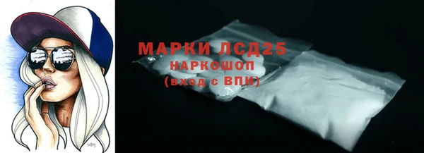 хмурый Белокуриха