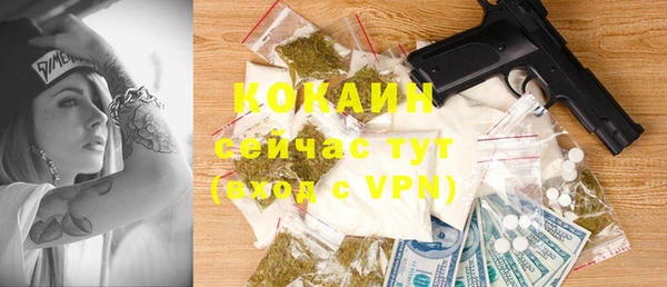 хмурый Белокуриха