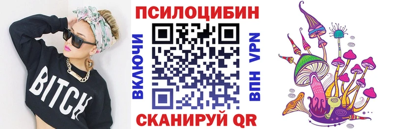 OMG ссылки  Курильск  Галлюциногенные грибы прущие грибы 